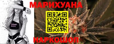 шишки Заводоуковск