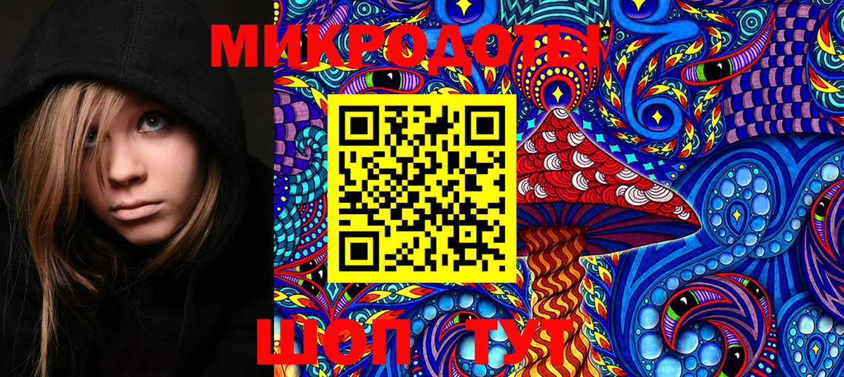 Псилоцибиновые грибы Psilocybe Заринск