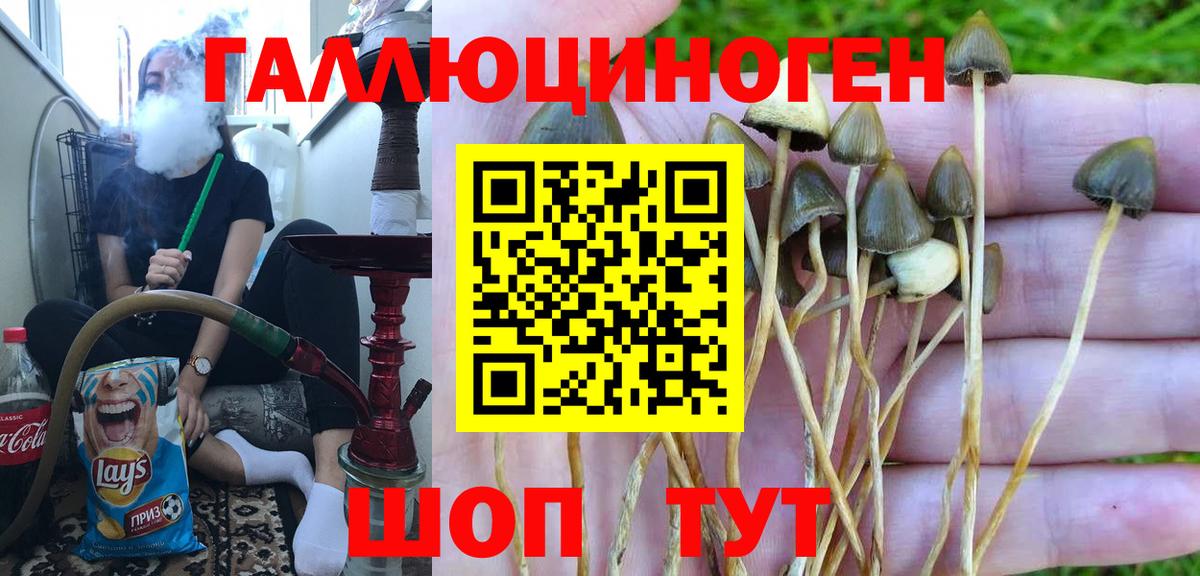Заринск  Галлюциногенные грибы мухоморы  Вход с VPN 